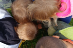 IMG_20240410_104719