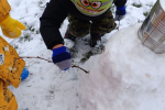 IMG_20240116_110151