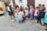 IMG-6f2c6d6267338a937f31b4c1fdcfba14-V