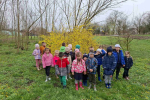 IMG-87e501d8c972946ecd9a4929d2cc4827-V