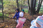 IMG-773c2164068eda8c6c864c9ea5ee2780-V